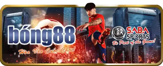 Video Slots hiện đại với đồ họa 3D và nhiều tính năng bonus